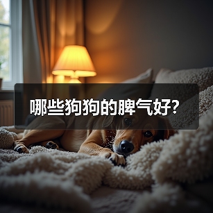 哪些狗狗的脾气好?(图2) 哪些狗狗脾气好|饲养实用指南(图2)
