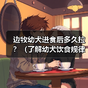 边牧幼犬进食后多久拉?(了解幼犬饮食规律,掌握适宜便便时间)(图3) 边牧幼犬进食后多久拉全攻略(图3)