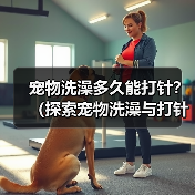宠物洗澡多久能打针?(探索宠物洗澡与打针的最佳时间间隔)(图1) 宠物洗澡打针间隔全攻略(图1)