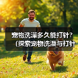 宠物洗澡多久能打针?(探索宠物洗澡与打针的最佳时间间隔)(图3) 宠物洗澡打针间隔全攻略(图3)