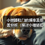 小猫舔肛门的频率及原因分析(探讨小猫舔肛门的行为习惯和健康问题)(图4) 小猫舔肛门行为解析及健康应对指南(图4)