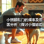 小猫舔肛门的频率及原因分析(探讨小猫舔肛门的行为习惯和健康问题)(图1) 小猫舔肛门行为解析及健康应对指南(图1)