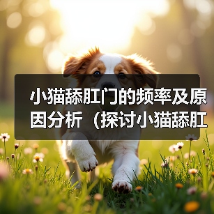 小猫舔肛门的频率及原因分析(探讨小猫舔肛门的行为习惯和健康问题)(图3) 小猫舔肛门行为解析及健康应对指南(图3)