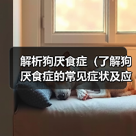 解析狗厌食症(了解狗厌食症的常见症状及应对方法)(图4) 狗厌食症常见症状及应对方法|宠物健康实用指南(图4)