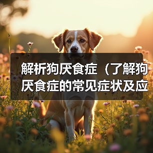 解析狗厌食症(了解狗厌食症的常见症状及应对方法)(图2) 狗厌食症常见症状及应对方法|宠物健康实用指南(图2)