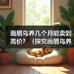 画眉鸟养几个月能卖到高价?(探究画眉鸟养殖时间与市场价值的关系)(图1) 画眉鸟养殖时间与市场价值关系探究|实用指南(图1)