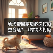 幼犬带回家后多久打驱虫合适?(宠物犬打驱虫时间表与方法解析)(图3) 幼犬驱虫时间表与方法解析|宠物健康全攻略(图3)