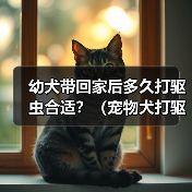 幼犬驱虫时间表与方法解析｜宠物健康全攻略