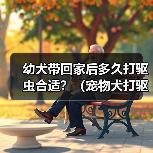 幼犬带回家后多久打驱虫合适?(宠物犬打驱虫时间表与方法解析)(图4) 幼犬驱虫时间表与方法解析|宠物健康全攻略(图4)
