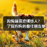 狗狗最喜欢哪些人?(了解狗狗的最佳朋友是谁)(图3) 狗狗最喜欢的人是谁?最佳朋友养成指南(图3)