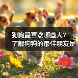 狗狗最喜欢哪些人?(了解狗狗的最佳朋友是谁)(图2) 狗狗最喜欢的人是谁?最佳朋友养成指南(图2)