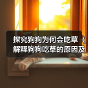 探究狗狗为何会吃草(解释狗狗吃草的原因及如何应对)(图4) 狗狗吃草原因及应对方法|科学指南全解析(图4)