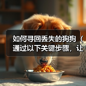 如何寻回丢失的狗狗(通过以下关键步骤,让你的狗狗重返温暖的怀抱)(图3) 如何寻回丢失的狗狗|实用指南(图3)