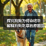 狗狗吃草原因及应对方法｜科学指南全解析