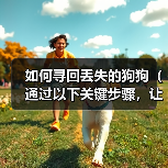 如何寻回丢失的狗狗(通过以下关键步骤,让你的狗狗重返温暖的怀抱)(图2) 如何寻回丢失的狗狗|实用指南(图2)