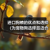 进口狗粮优势解析｜如何选最适合的狗粮全攻略