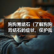 狗狗胃结石(了解狗狗胃结石的症状,保护我们的忠诚伙伴)(图4) 狗狗胃结石症状与预防指南|宠物健康核心技巧(图4)