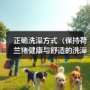 正确洗澡方式(保持荷兰猪健康与舒适的洗澡技巧)(图3) 荷兰猪洗澡技巧|保持健康舒适全攻略(图3)