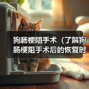 狗肠梗阻手术恢复全攻略｜关键因素与注意事项