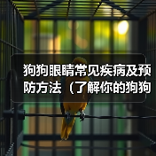 狗狗眼睛常见疾病及预防方法(了解你的狗狗眼睛的常见问题,提前预防疾病!)(图3) 狗狗眼睛疾病预防指南|常见问题与护理技巧(图3)