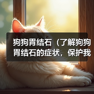 狗狗胃结石(了解狗狗胃结石的症状,保护我们的忠诚伙伴)(图3) 狗狗胃结石症状与预防指南|宠物健康核心技巧(图3)