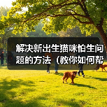 解决新出生猫咪怕生问题的方法(教你如何帮助小猫克服害羞和恐惧)(图2) 新出生猫咪怕生问题解决方法|实用指南(图2)