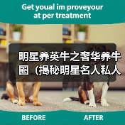 明星养英牛之奢华养牛圈(揭秘明星名人私人养牛场,探寻明星养牛的奢华与乐趣)(图1) 明星养英牛圈揭秘:奢华与乐趣并存的养牛生活(图1)