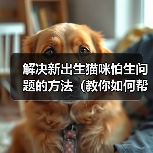 解决新出生猫咪怕生问题的方法(教你如何帮助小猫克服害羞和恐惧)(图3) 新出生猫咪怕生问题解决方法|实用指南(图3)