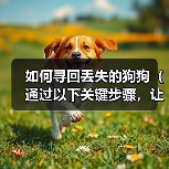 如何寻回丢失的狗狗｜实用指南