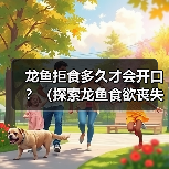 龙鱼拒食多久才会开口?(探索龙鱼食欲丧失的时间界限)(图3) 龙鱼拒食时间界限解析|养殖应对全攻略(图3)