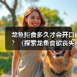 龙鱼拒食时间界限解析｜养殖应对全攻略