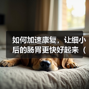 细小后肠胃康复方法｜快速恢复健康指南