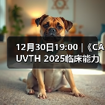 12月30日19:00 |《CAUVTH 2025临床能力提升系列》线上公益课程:如何找到脓包里“飞来”的异物(图3) 脓肿异物定位技巧|超声引导取出全攻略(图3)