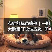 犬跳蚤叮咬性皮炎病例分析｜综合治疗全攻略