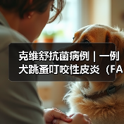 克维舒抗菌病例 | 一例犬跳蚤叮咬性皮炎(FAD)的病例分析(图3) 犬跳蚤叮咬性皮炎病例分析|综合治疗全攻略(图3)