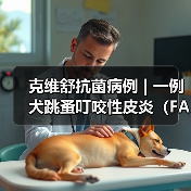 克维舒抗菌病例 | 一例犬跳蚤叮咬性皮炎(FAD)的病例分析(图2) 犬跳蚤叮咬性皮炎病例分析|综合治疗全攻略(图2)