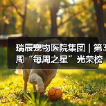瑞辰每周之星评选｜优秀员工风采展示