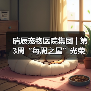 瑞辰宠物医院集团 | 第3周“每周之星”光荣榜(图2) 瑞辰每周之星评选|优秀员工风采展示(图2)