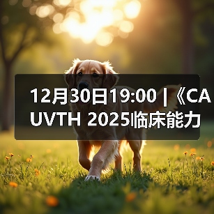 12月30日19:00 |《CAUVTH 2025临床能力提升系列》线上公益课程:如何找到脓包里“飞来”的异物(图4) 脓肿异物定位技巧|超声引导取出全攻略(图4)
