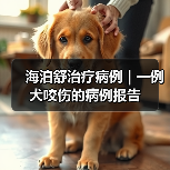犬咬伤感染治疗案例｜保守疗法效果分析