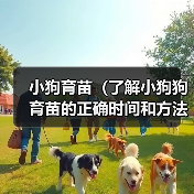 小狗育苗时间与方法｜科学接种全攻略
