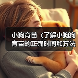 小狗育苗时间与方法｜科学接种全攻略(图3)