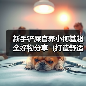 新手铲屎官养小柯基必备好物清单｜舒适快乐生活全攻略(图2)