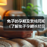 兔子孕期及繁殖周期全攻略｜科学管理与护理技巧