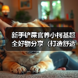 新手铲屎官养小柯基必备好物清单｜舒适快乐生活全攻略