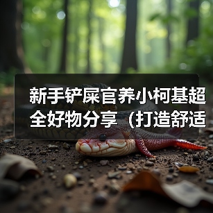 新手铲屎官养小柯基必备好物清单｜舒适快乐生活全攻略(图3)