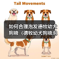 如何合理泡发德牧幼犬狗粮(德牧幼犬狗粮泡发的时间与方法)(图2) 德牧幼犬狗粮泡发技巧与注意事项|喂养全攻略(图2)