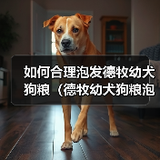 德牧幼犬狗粮泡发技巧与注意事项｜喂养全攻略