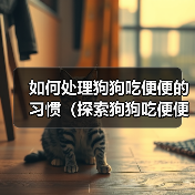 如何处理狗狗吃便便的习惯(探索狗狗吃便便的原因及有效的解决方法)(图3) 狗狗吃便便原因及解决方法全攻略(图3)