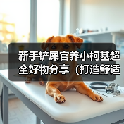 新手铲屎官养小柯基必备好物清单｜舒适快乐生活全攻略(图4)